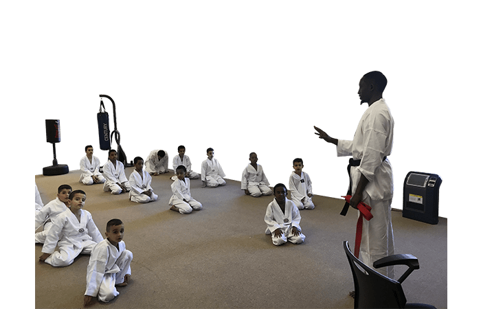 Peace Ambassadors USA Martial Arts Classes